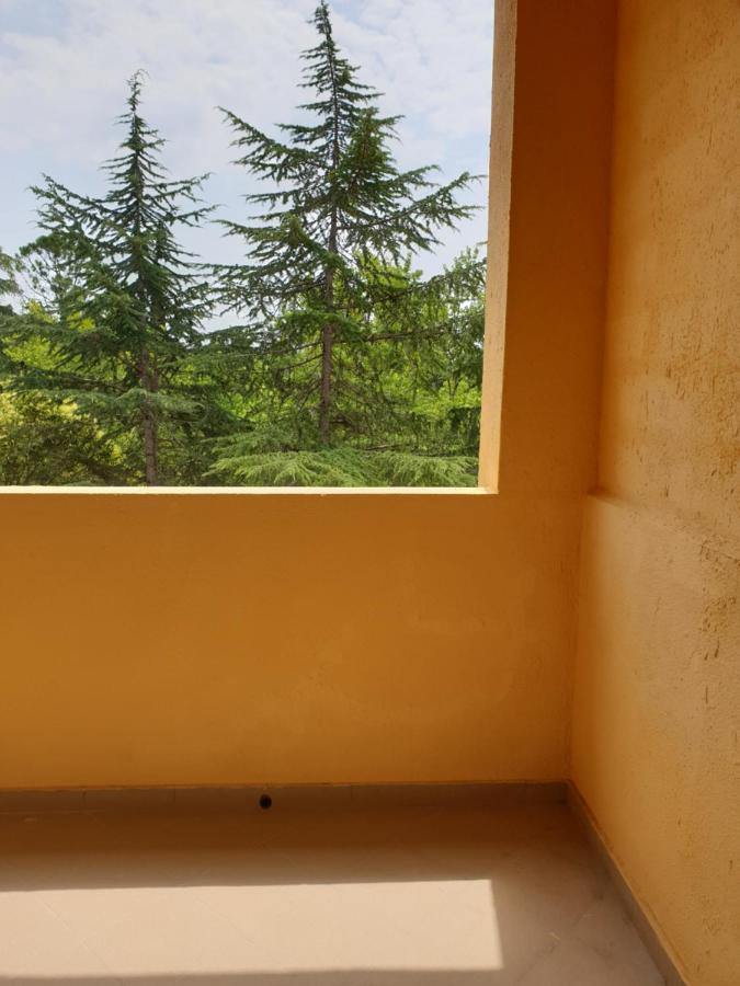 Парк-Отель Олимп Pițunda Exterior foto